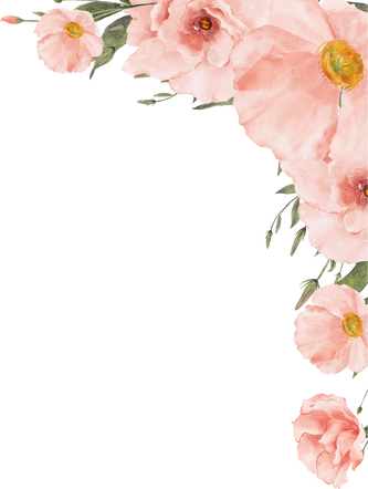 Peach Flower Frame